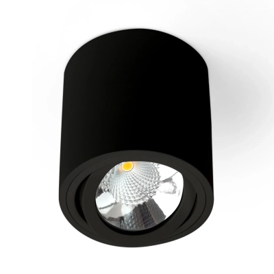 SASARI  oprawa sufitowa LED 10W 816lm 4000K czarna 451257